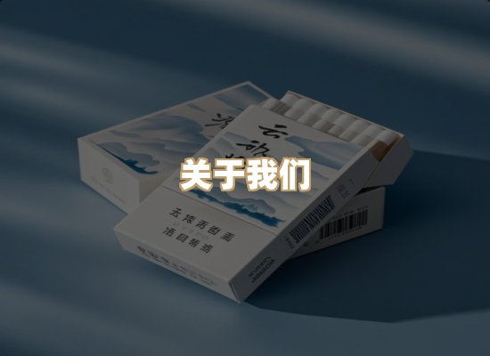 关于蓝帝网